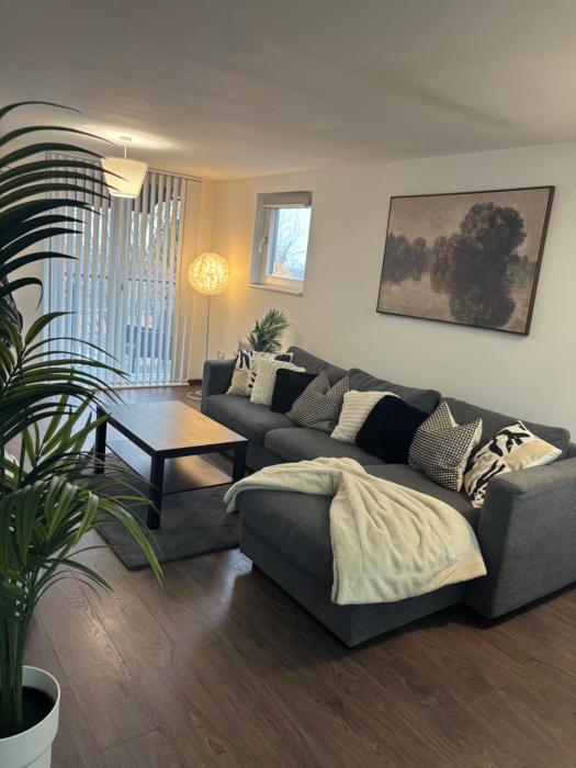 Charming apartment near NEC and Birmingham Airport