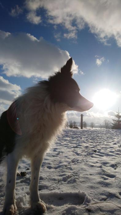 U Asi - Zimowe Wakacje Blisko Natury