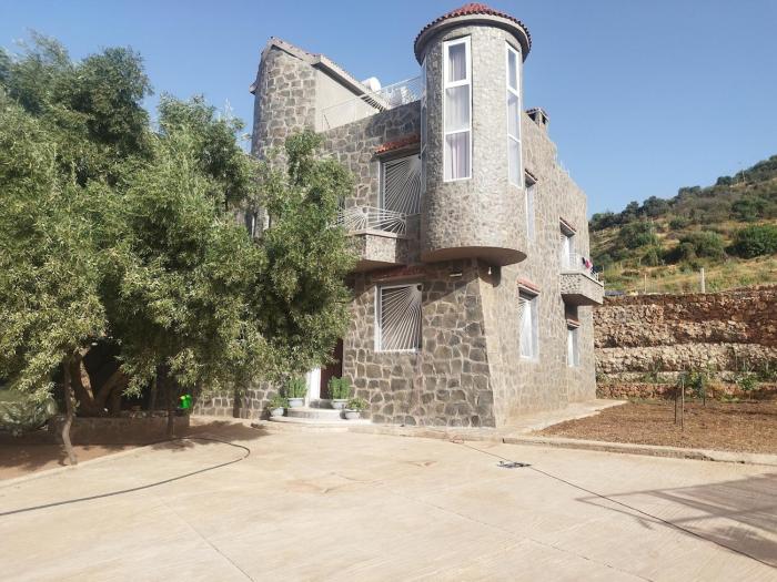 Luxurious mountain villa