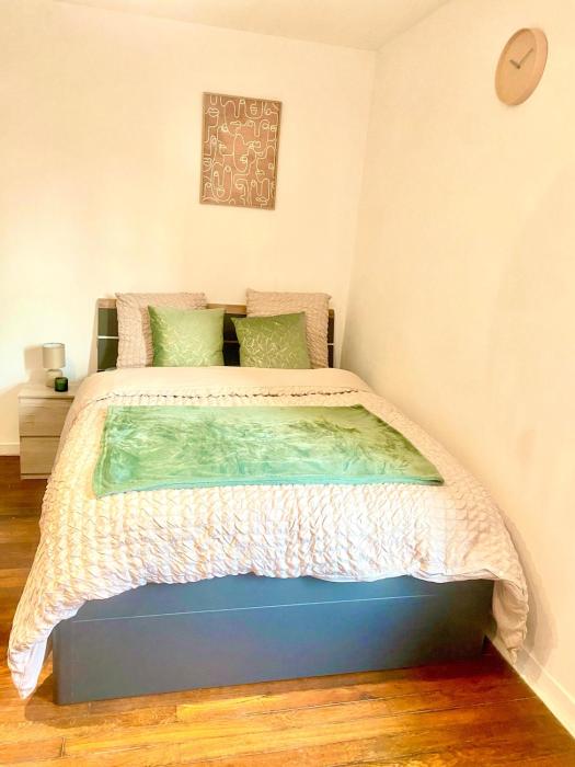 Charming apartment in Nancy Center