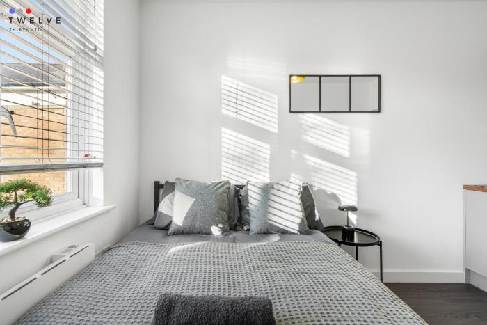 Modern Studio with En-Suite & Kitchenette 7 - Brixton