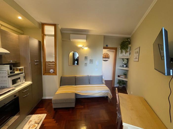 Apartment Viale Furio Camillo 5