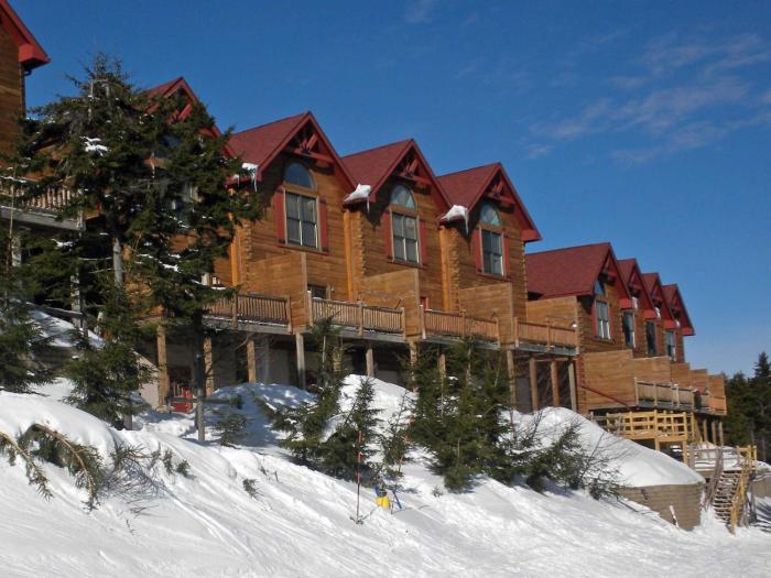 Loggers Run #7: 5 Bedrooms, 35 Bath: Slope Side Overlooks The Ski Trail !