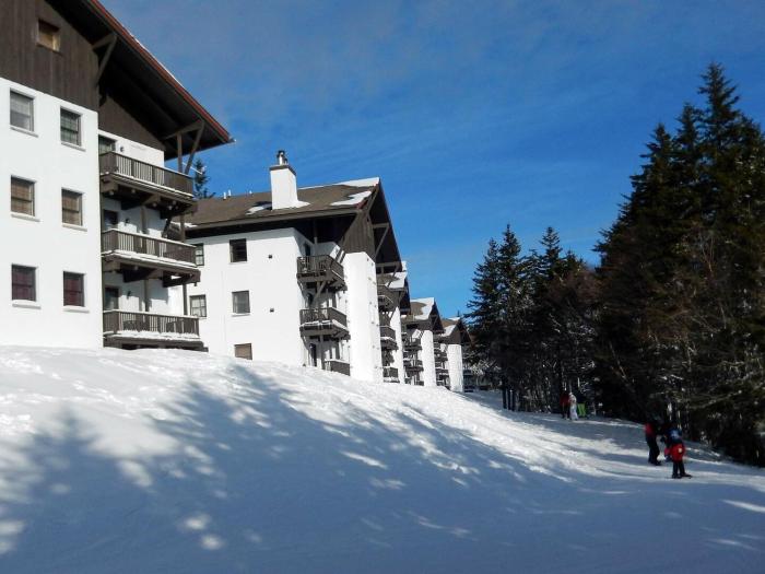 Whistlepunk 44 - 1 Bedroom with loft, Slopeside Complex