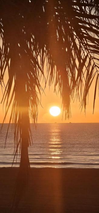 Torrevieja Playa
