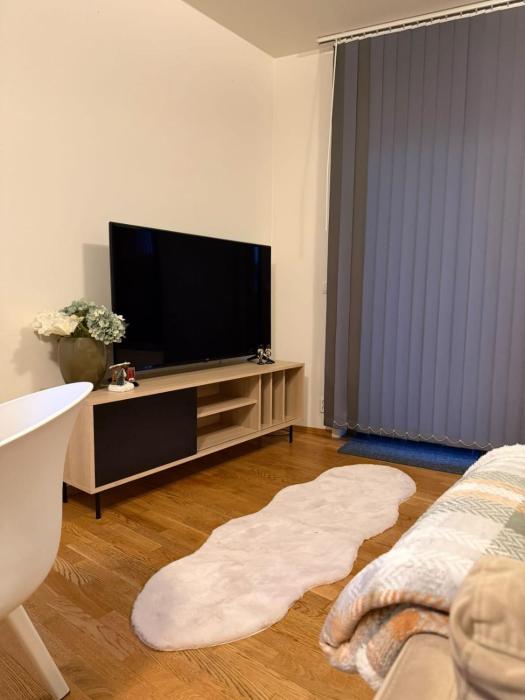 Modern apartment near Oslo