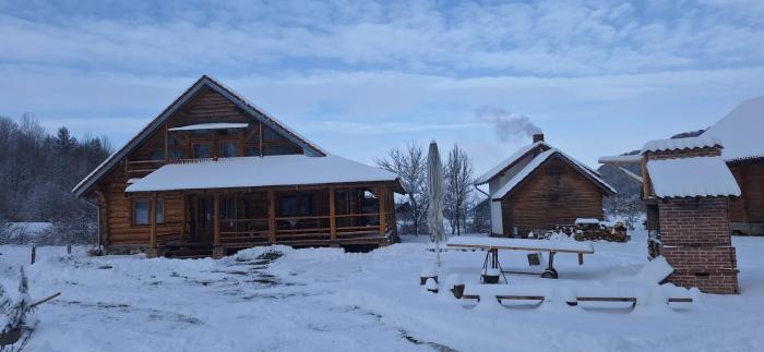 Farmhouse Rosehip Flower Romania Brasov