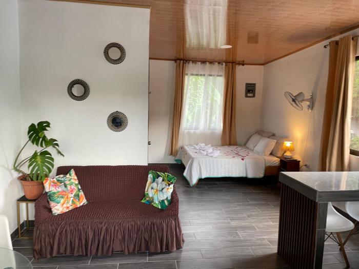 Tropical Coast Studio