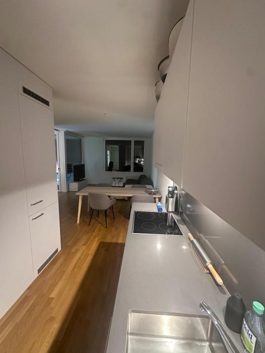 Modernes Apartment in Basel