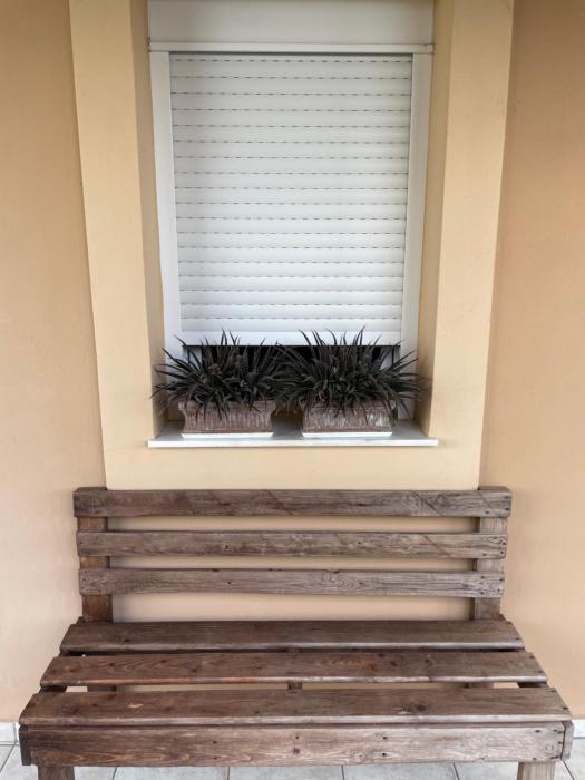 Olive Grove Family Home