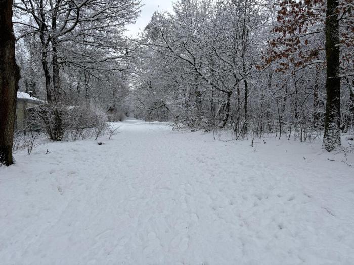 Het Veluwse Boshuisje Hond welkom in Hoenderloo