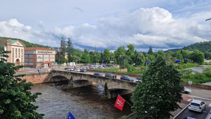 Epinal Center Charming Two Bedroom Apartment