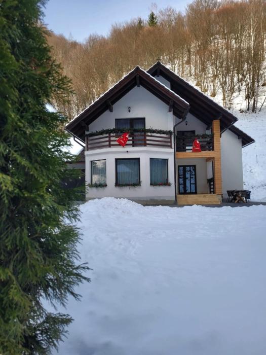 Cabana Valea Muntelui