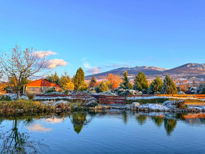 Amenity Penzion Horni Vestonice