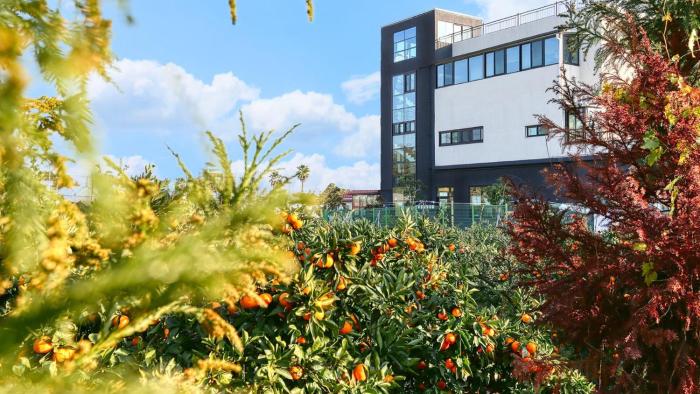 Jeju DK House Pension