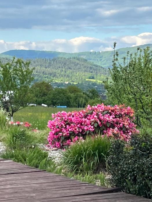 Pokoj U lesa Zaolší