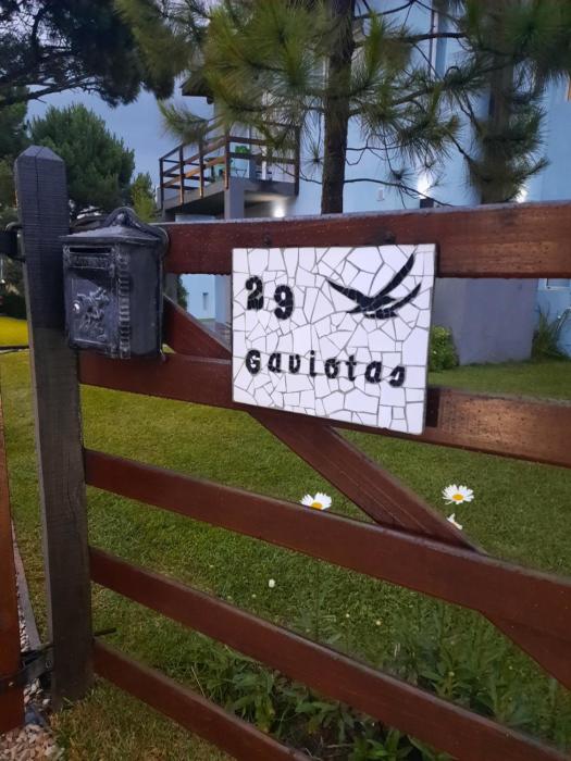 29 Gaviotas