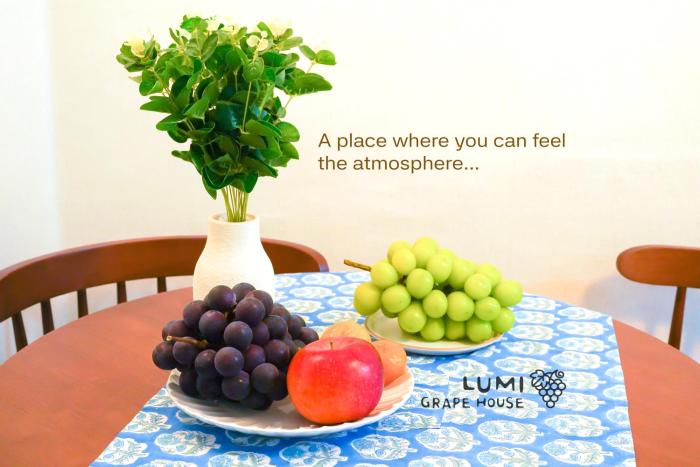 Lumi Grape House