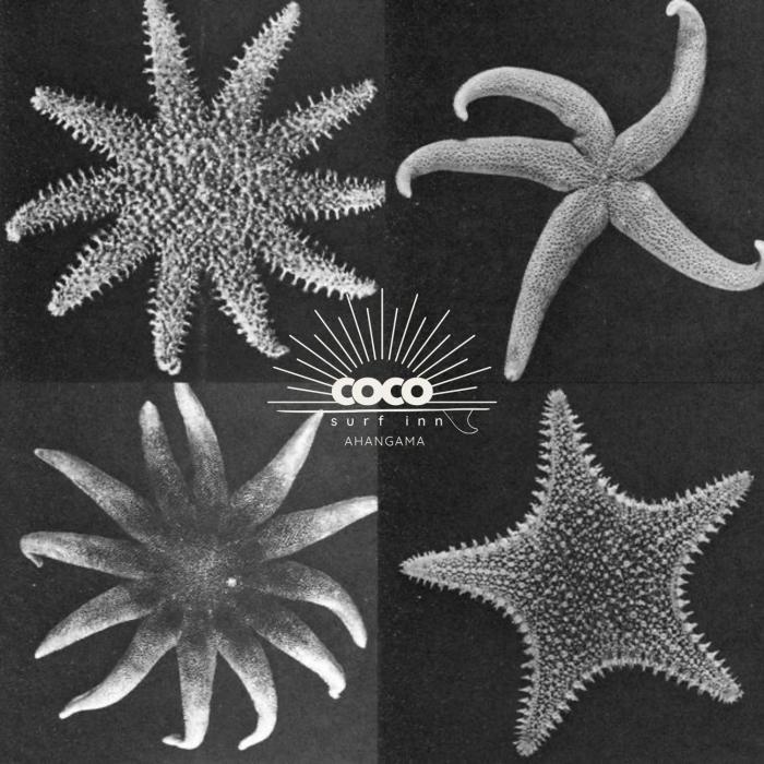Coco Surf Inn - Ahangama