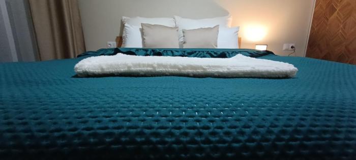 HikeBike Apartments -Beskidy-Dębowiec-Nowy-Standard Premium-Parking