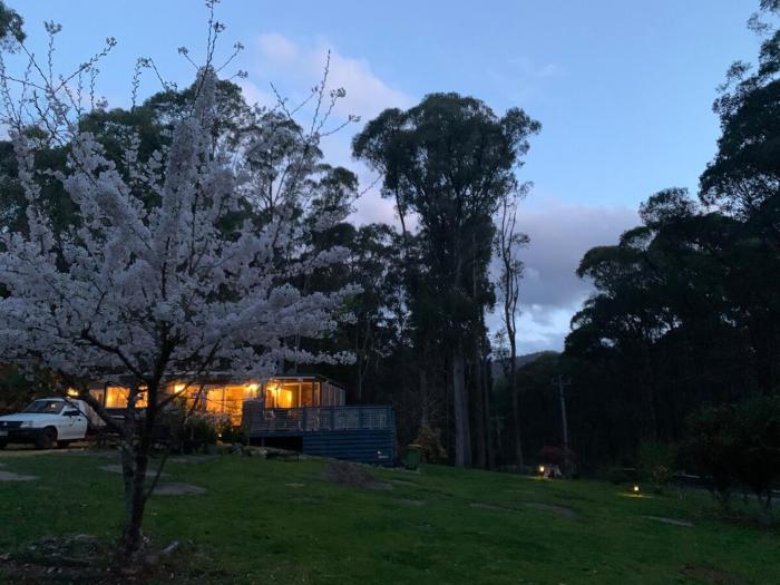 Retreat in a beautiful forest!