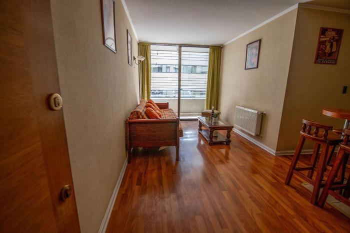 Central and comfortable apartment in downtown Santiago
