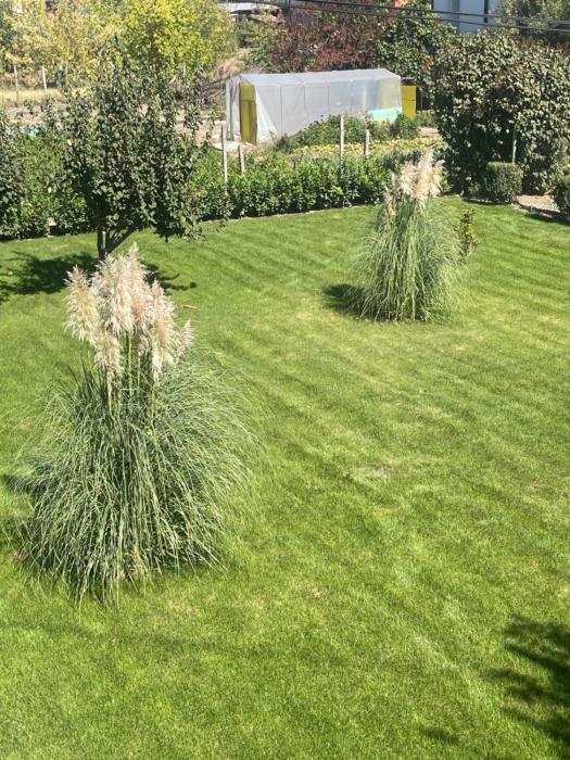 Къща Бети самостоятелни апартаменти с двор край Пловдив