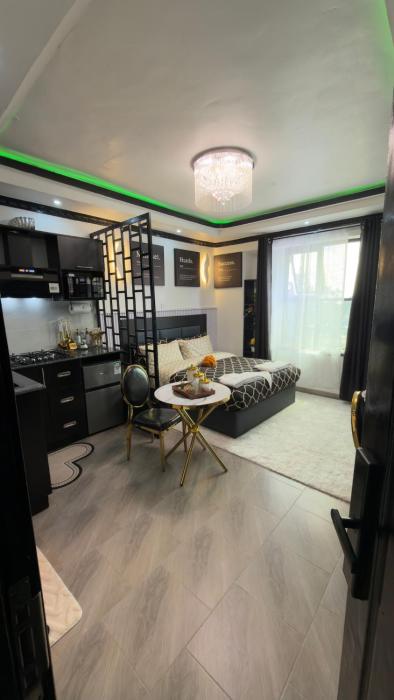 Deluxe Studio with Lake Nakuru View by CANT RUSH GREATNESS LTD