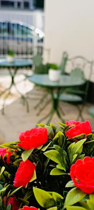 Orelli House - Bilocal Garden