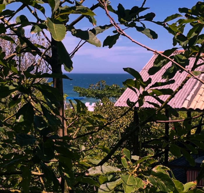 casa na praia do campeche