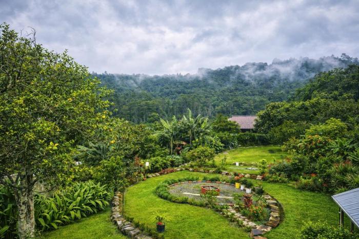 Hostal Vista Boquete