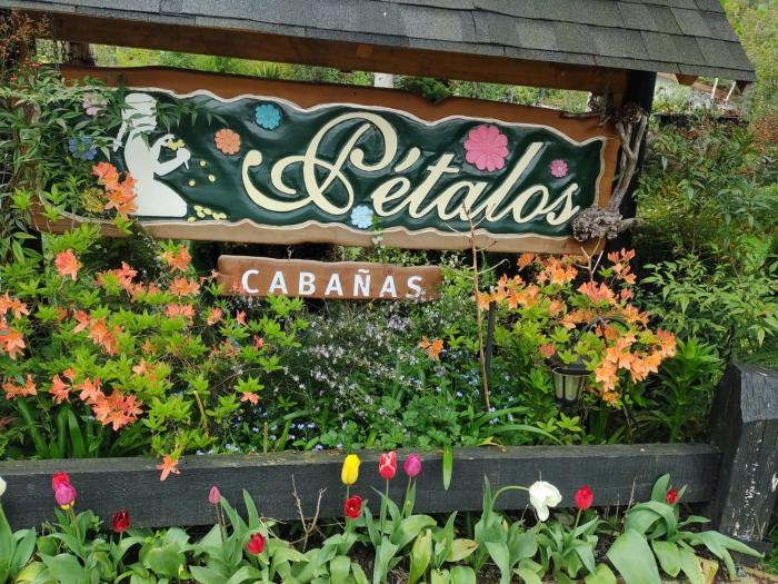 Cabaña Familiar con Jacuzzi Pétalos VillarricaTranquilidad a Minutos del Lago