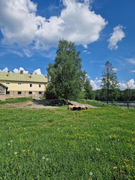 Torppa järvenrannalla