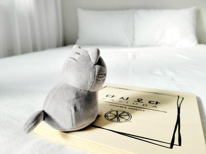 다시오다 Dasioda