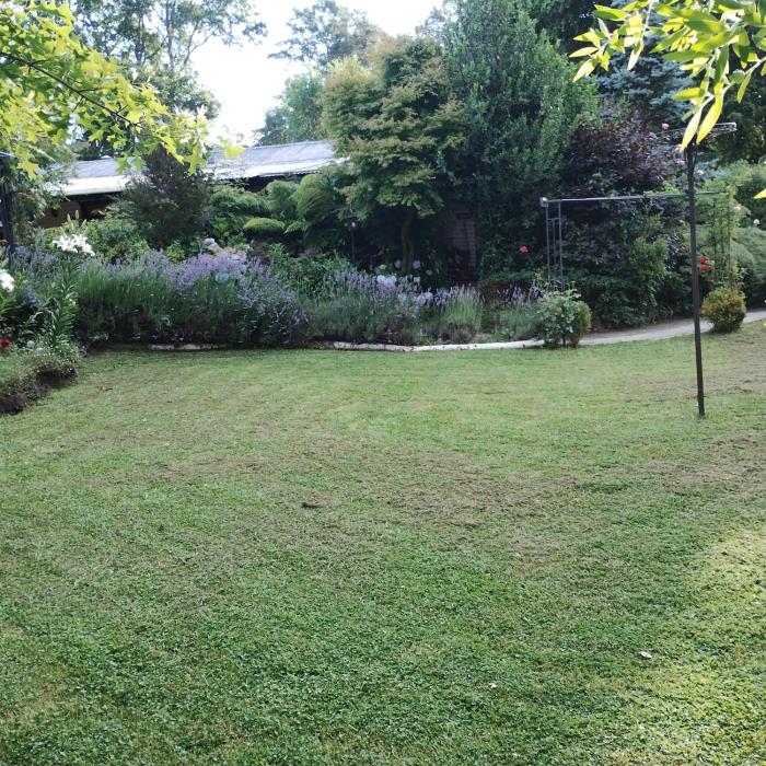 Cabaña Petalos Villarrica bungalows 3 personas