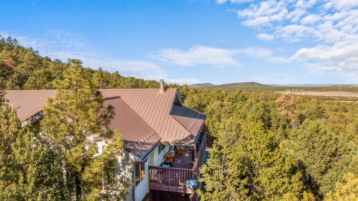 Breathtaking Cabin Backing the National Forest