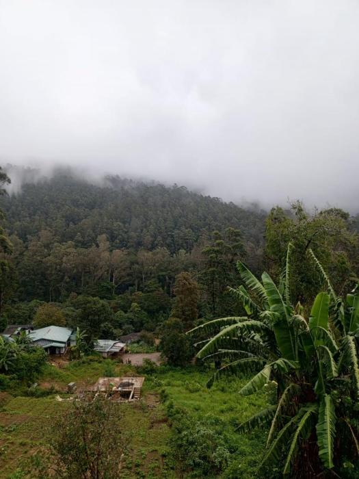 Hilltop Panorama Ohiya