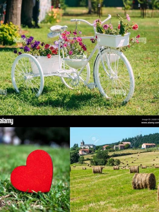 Appartement a la Campagne