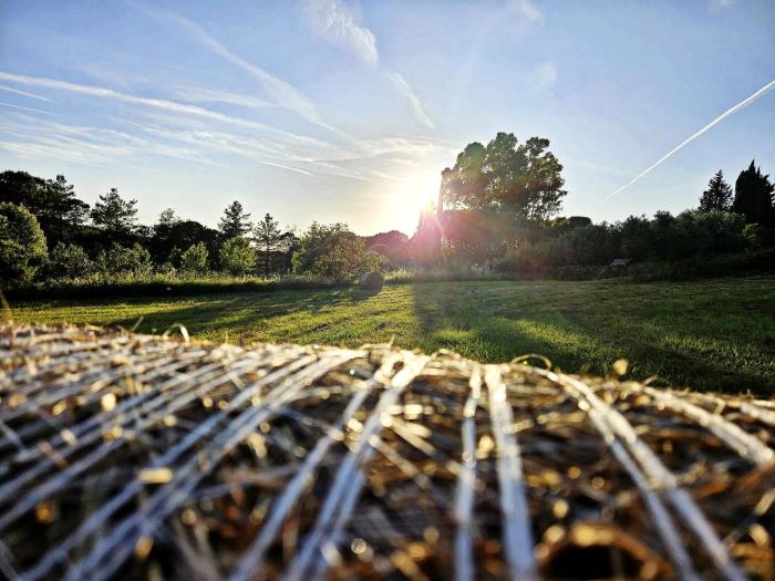 Podere Il Cerrone app Romilda con piscina