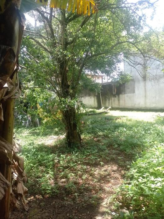 Camping Rio Vermelho