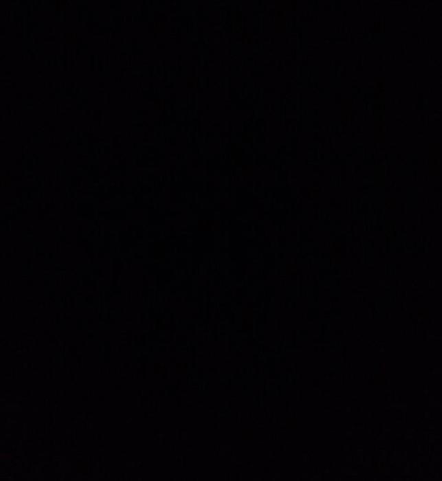 CARIBBEAN VACATION at playa LOS CORALES