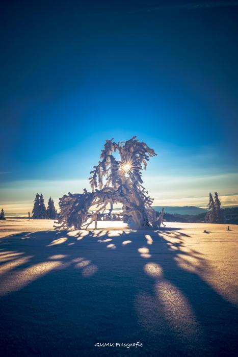 FEWO zum gscheiten Beck mit Garten