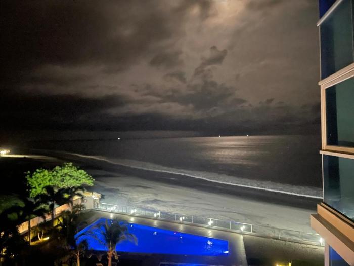 Royal palm Nueva Gorgona