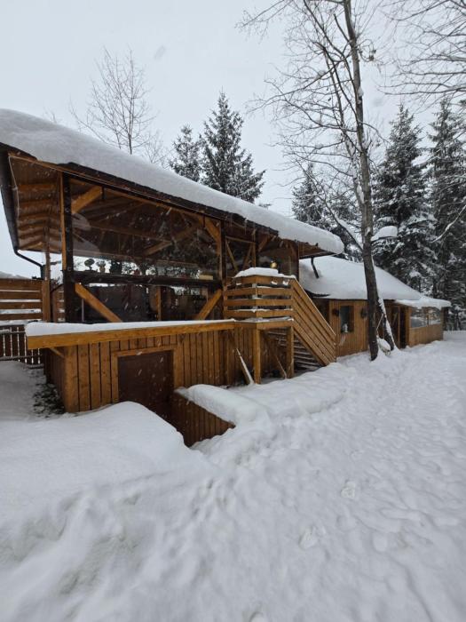 Casuta Cerbului Colibita