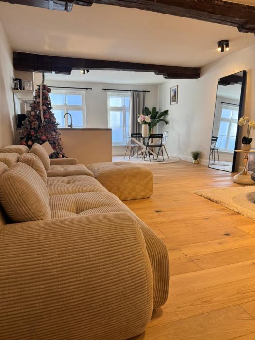 Luxurious house in the center of Bruges