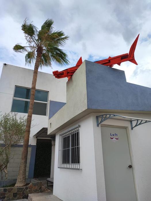 Loft Tiburón - contemporaneo con toque playero