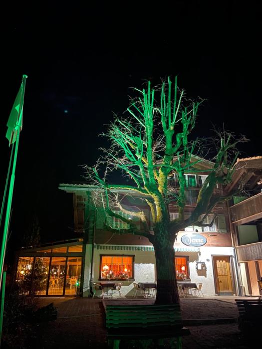 Tenne Lenk - Gasthof & Hotel