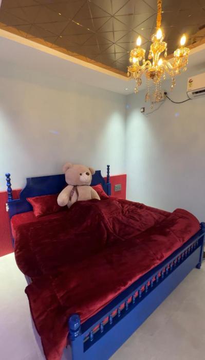 Teddy