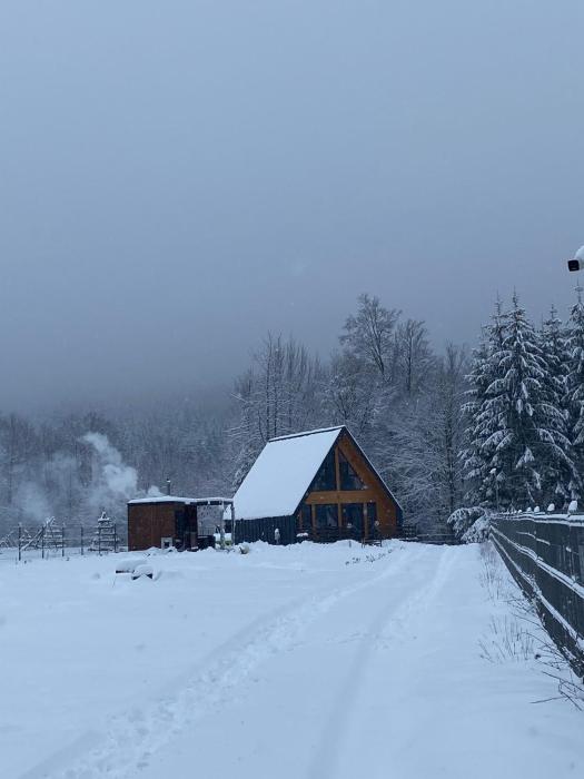 Cozy Aframe Valea Doftanei