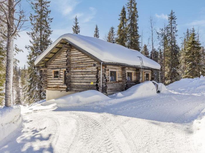 Holiday Home Muuttohaukka by Interhome